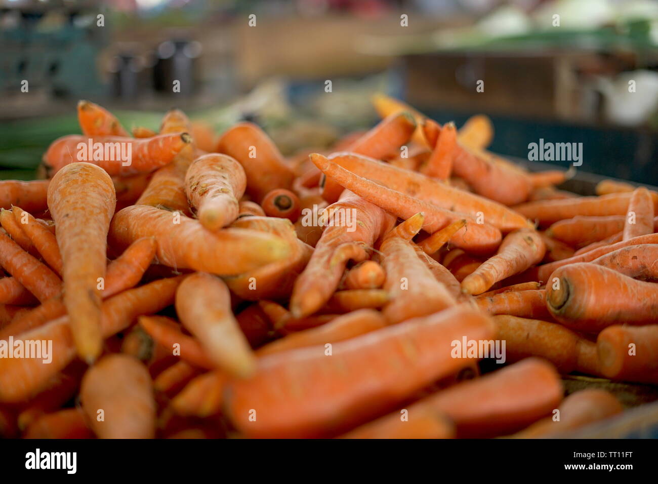 Pile of Fresh Carrots at vegetable market Stock Photo