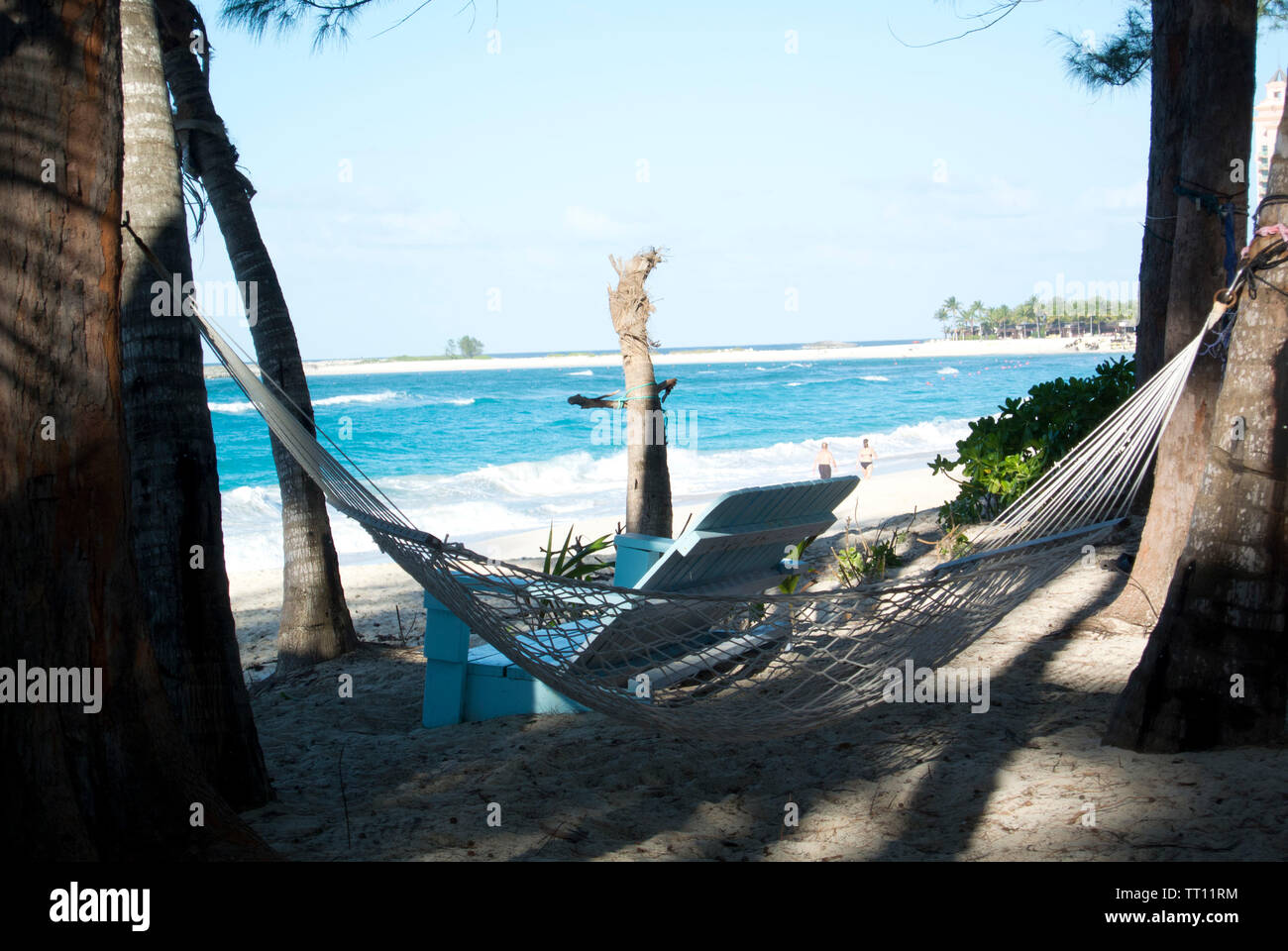 Fabric rope hammock suspended by palm trees in a tropical beach Stock Photo