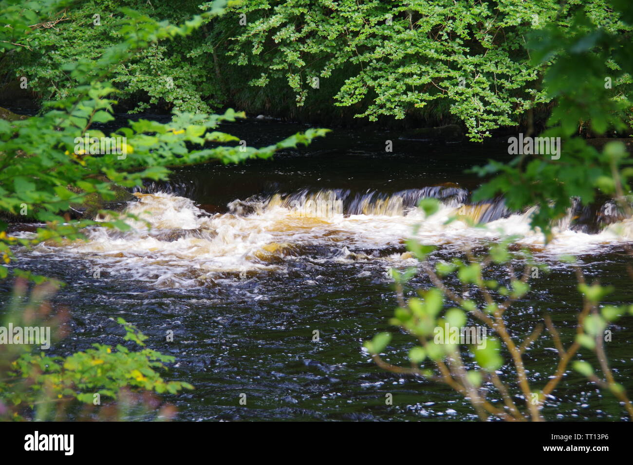 Rapids along River Dart Flowing Through Hembury Woods on a Late Summers Afternoon. Buckfastleigh, Dartmoor, Devon, UK. Stock Photo