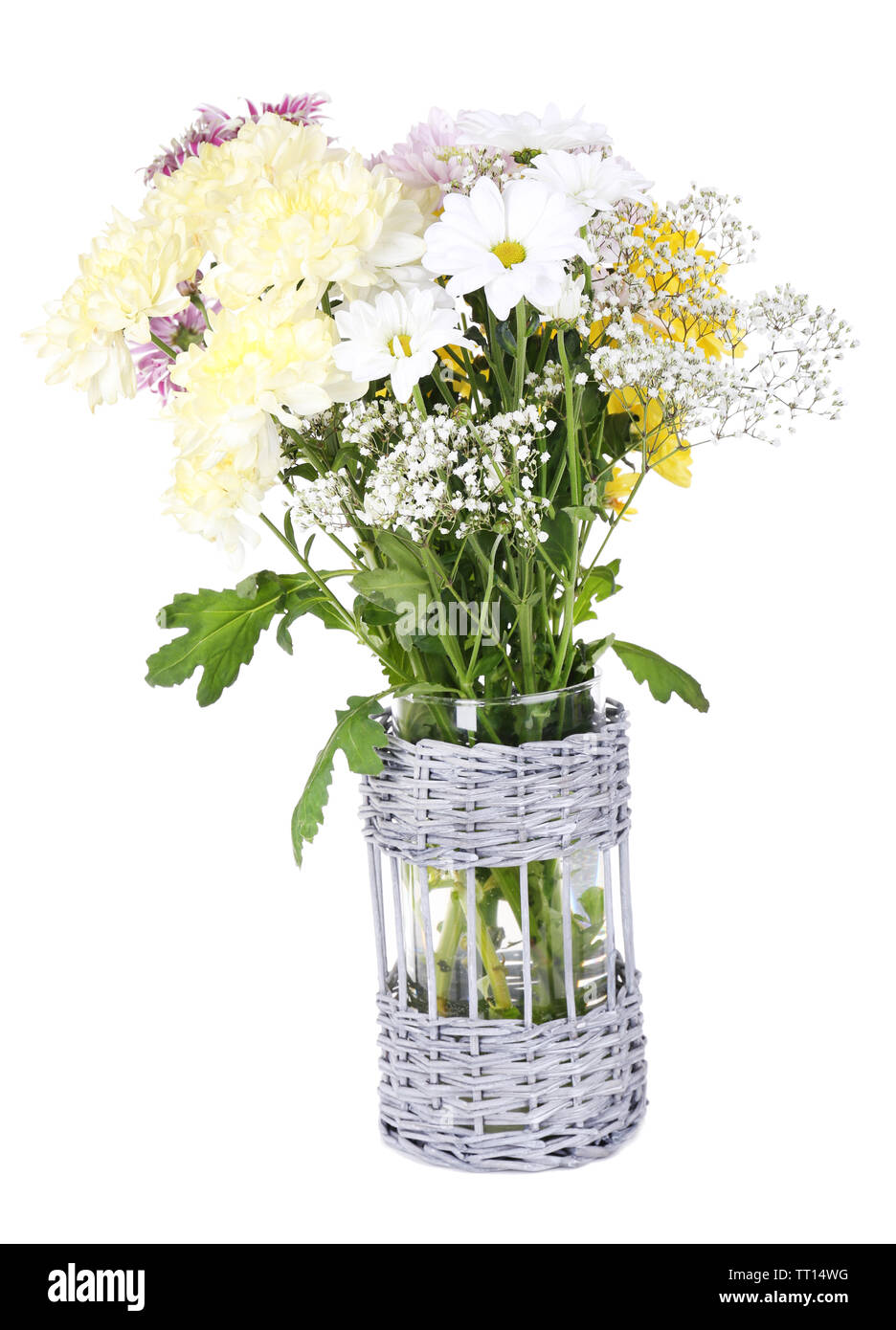 Beautiful chrysanthemum flowers in vase isolated on white Stock Photo