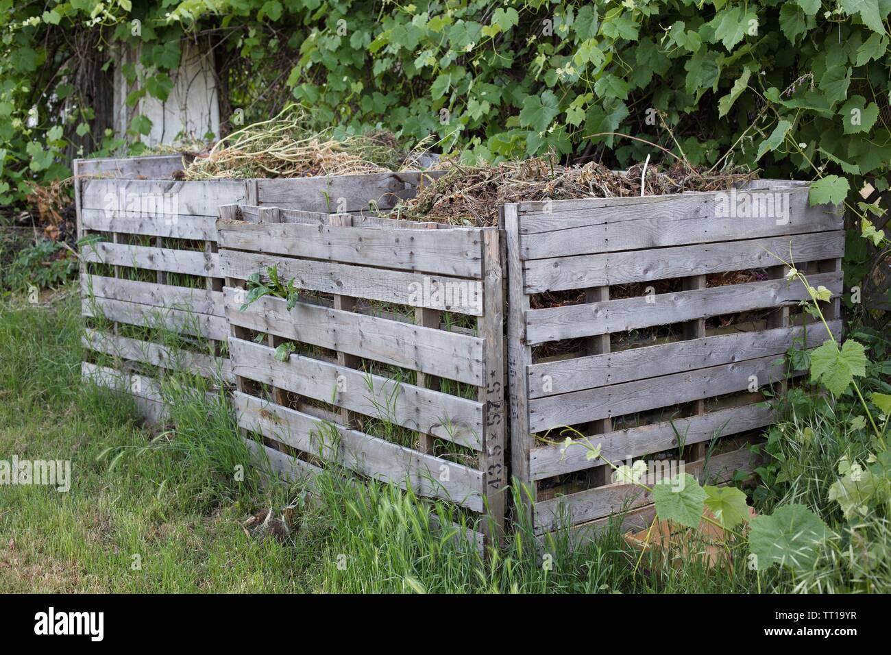 https://c8.alamy.com/comp/TT19YR/large-backyard-wooden-garden-waste-composting-bin-TT19YR.jpg