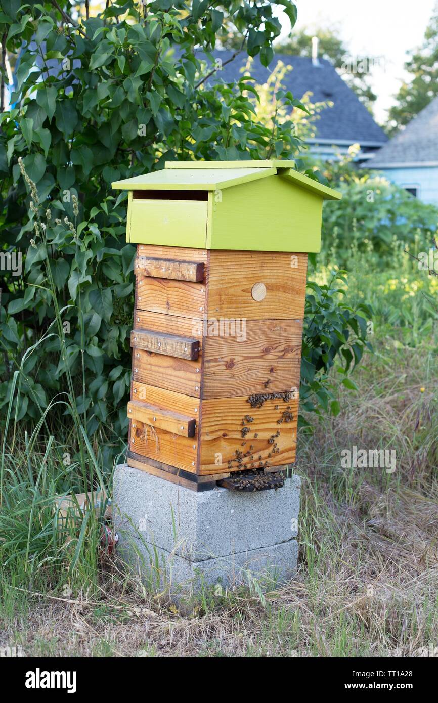 A Beehive In A Backyard In Eugene Oregon Usa Stock Photo