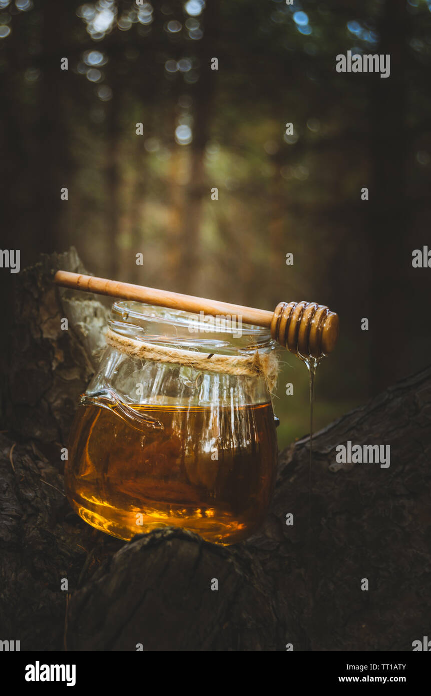 Jar of fresh honey and honey spoon on pine tree in woods.Healthy food
