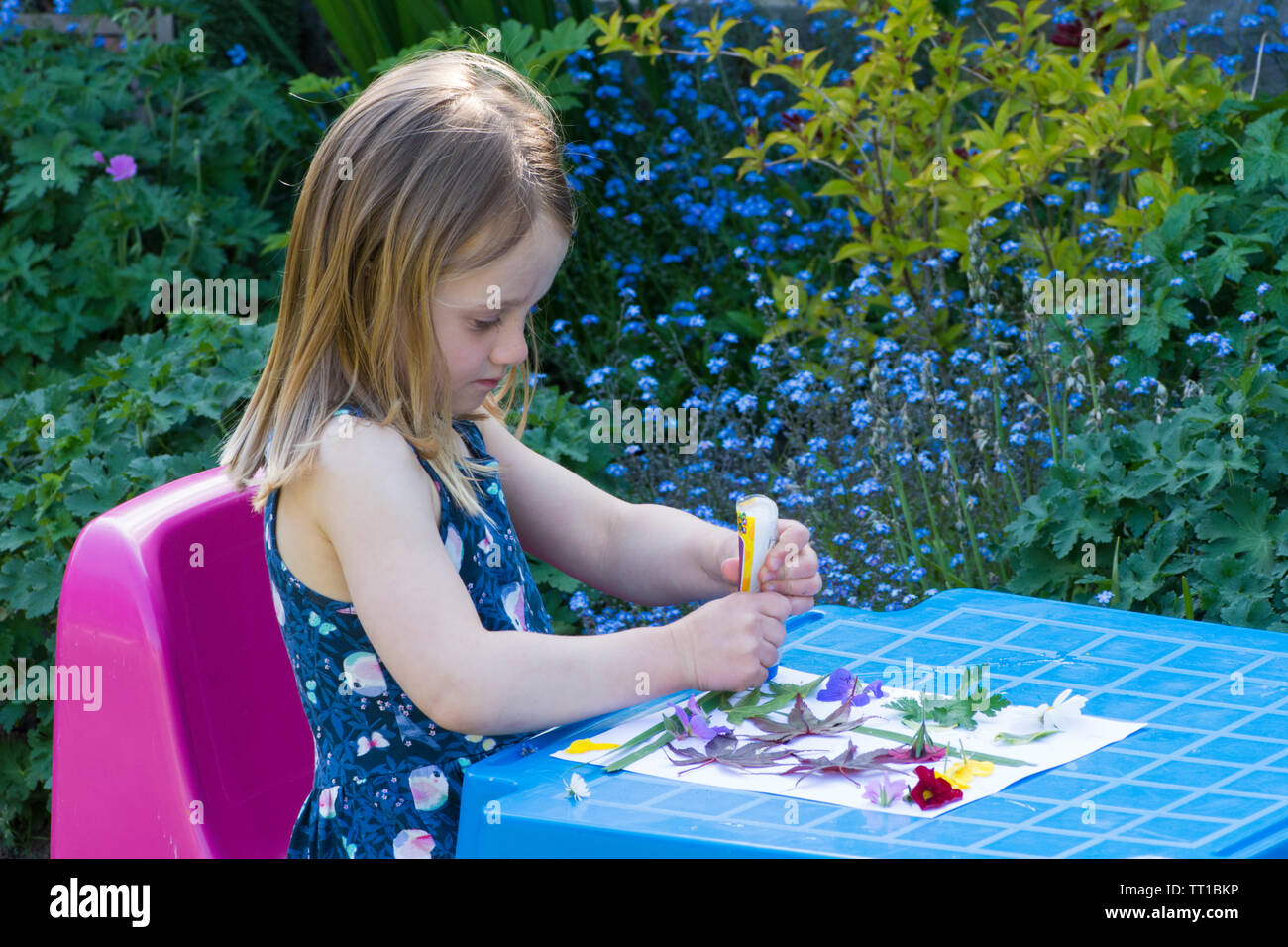 three year old girl in a dress sitting at a small table in garden, making a picture made from flowers and leaves stuck on paper, nature art craft Stock Photo
