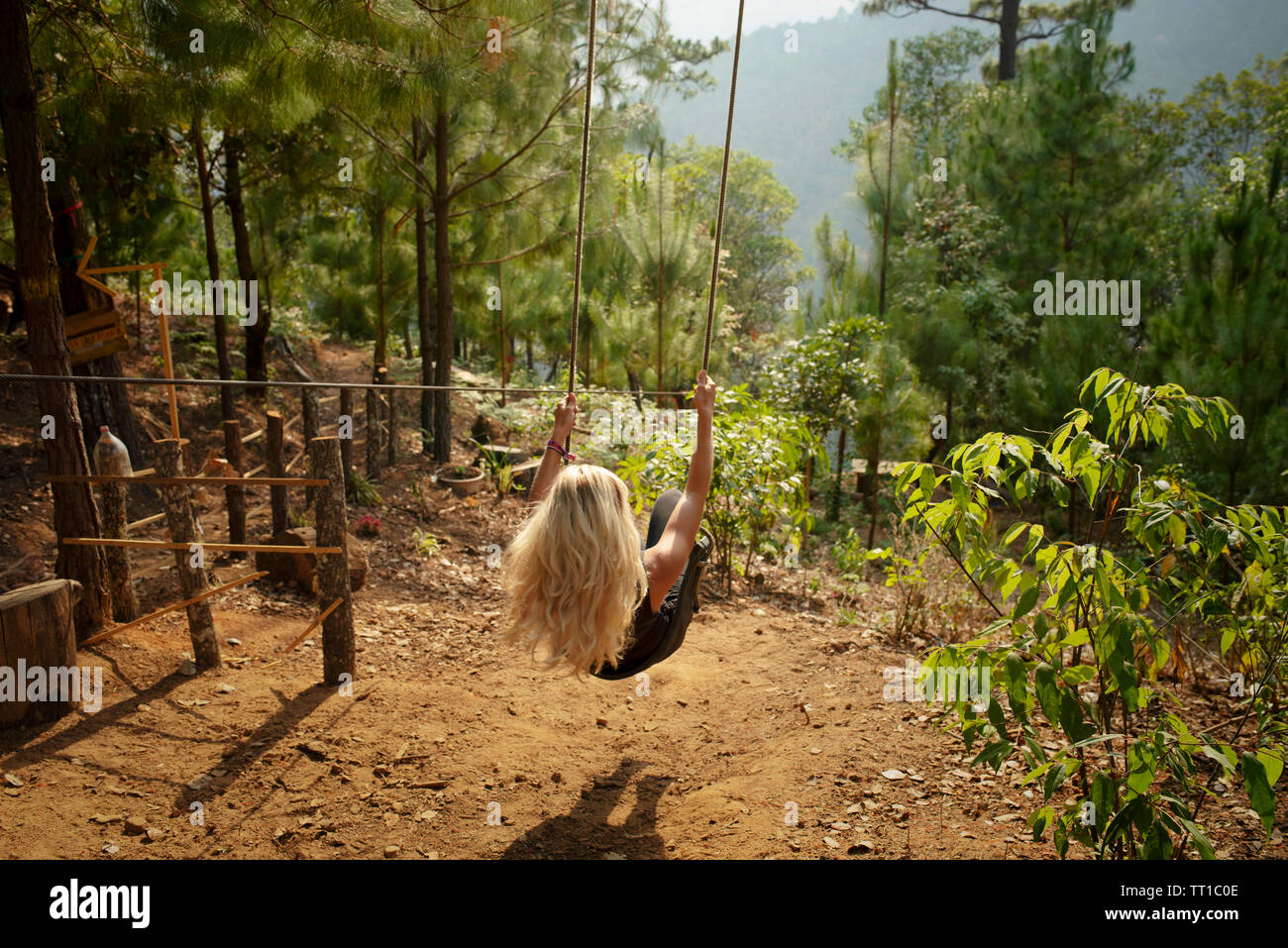 Swinging trees hi-res stock photography and images - Alamy