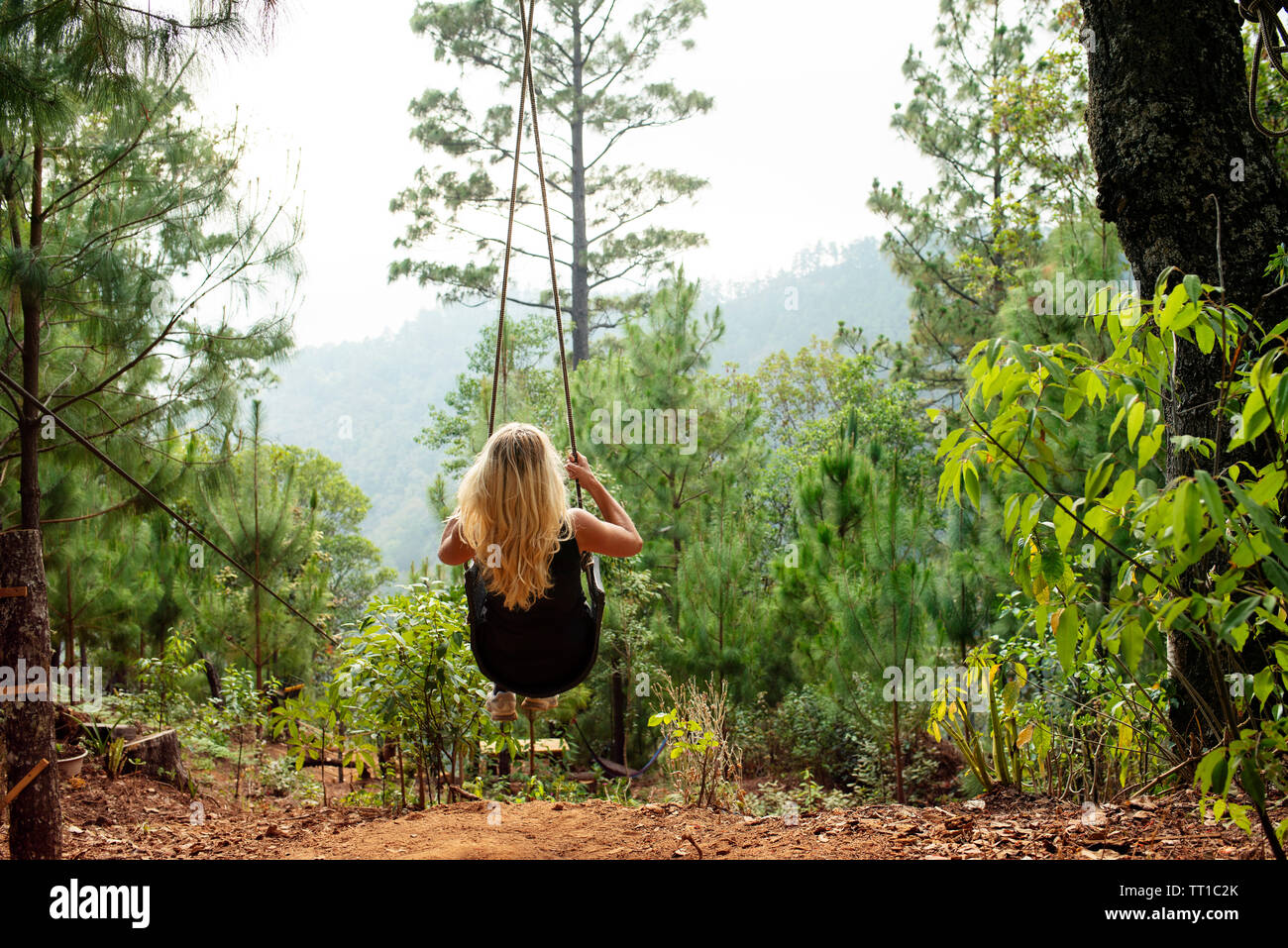 Swinging trees hi-res stock photography and images - Alamy