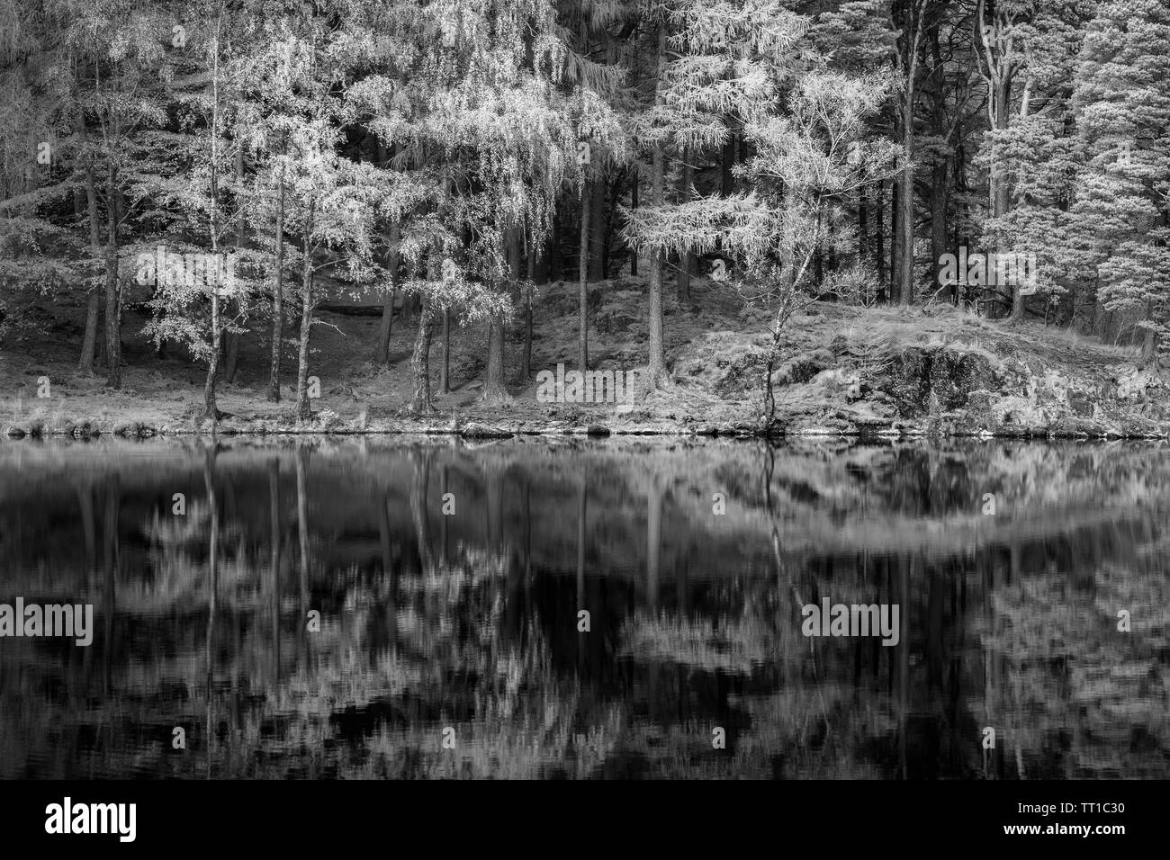 Infra red monochrome image of reflections in Blea Tarn in the Lake District, England on a still and sunny autumn day Stock Photo