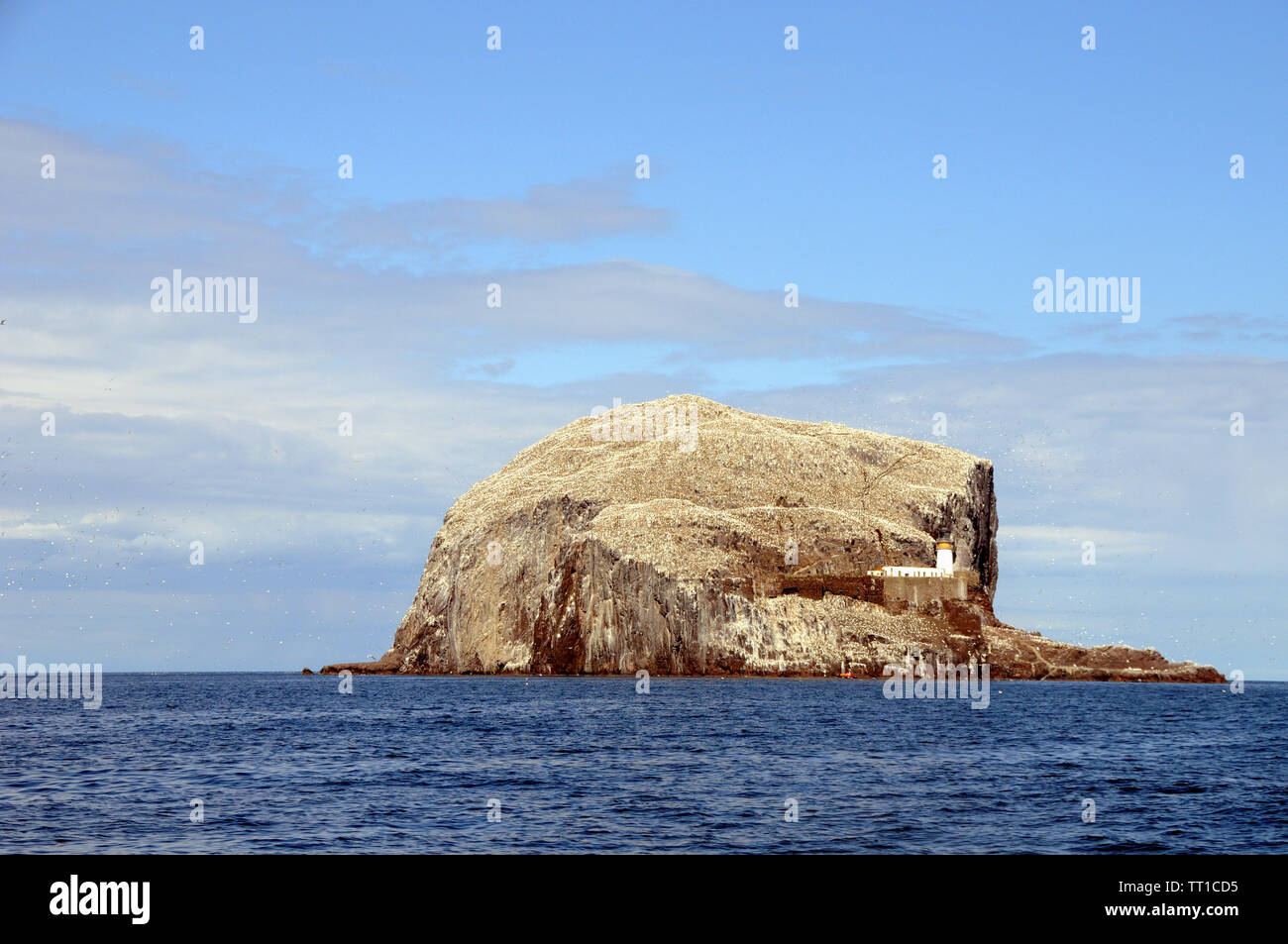 The Bass Rock, a steep sided volcanic rock off shore from the east of the Scottish mainland on the outer part of the Firth of Forth. Stock Photo