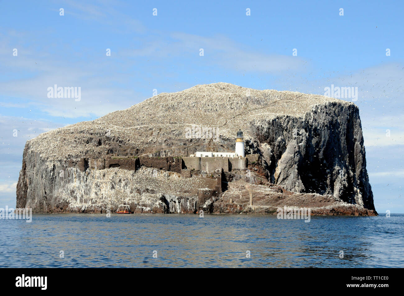 The Bass Rock, a steep sided volcanic rock off shore from the east of the Scottish mainland on the outer part of the Firth of Forth. Stock Photo