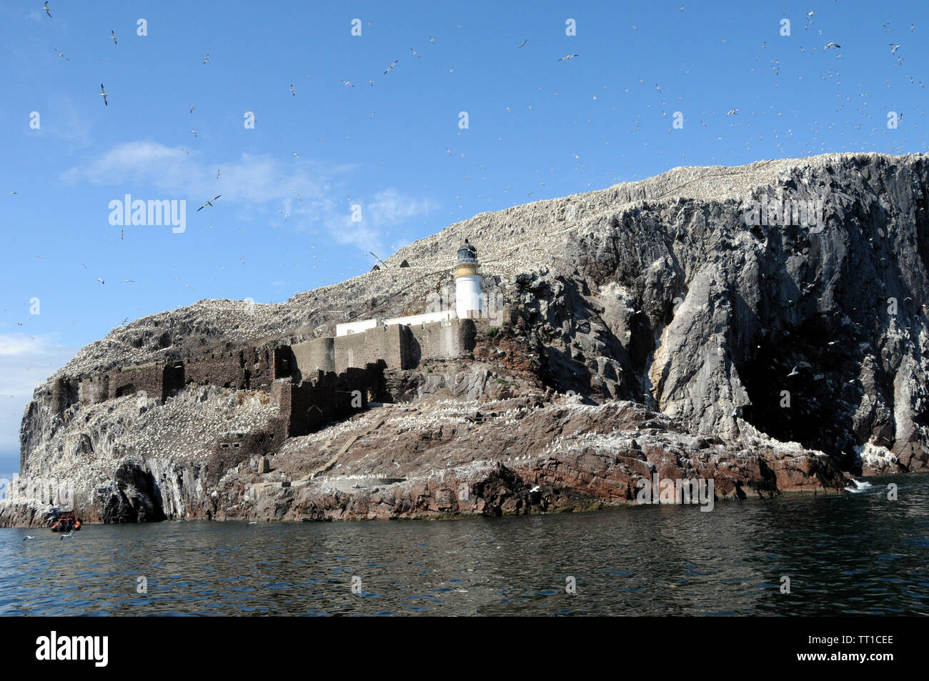 The Bass Rock, a steep sided volcanic rock off shore from the east of the Scottish mainland on the outer part of the Firth of Forth. Stock Photo