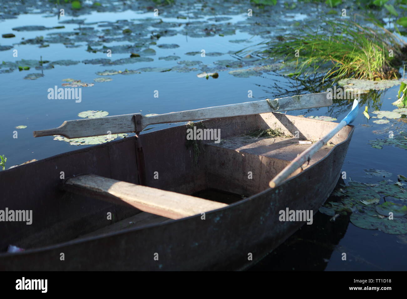 Old fishing boat in the pond Stock Photo - Alamy