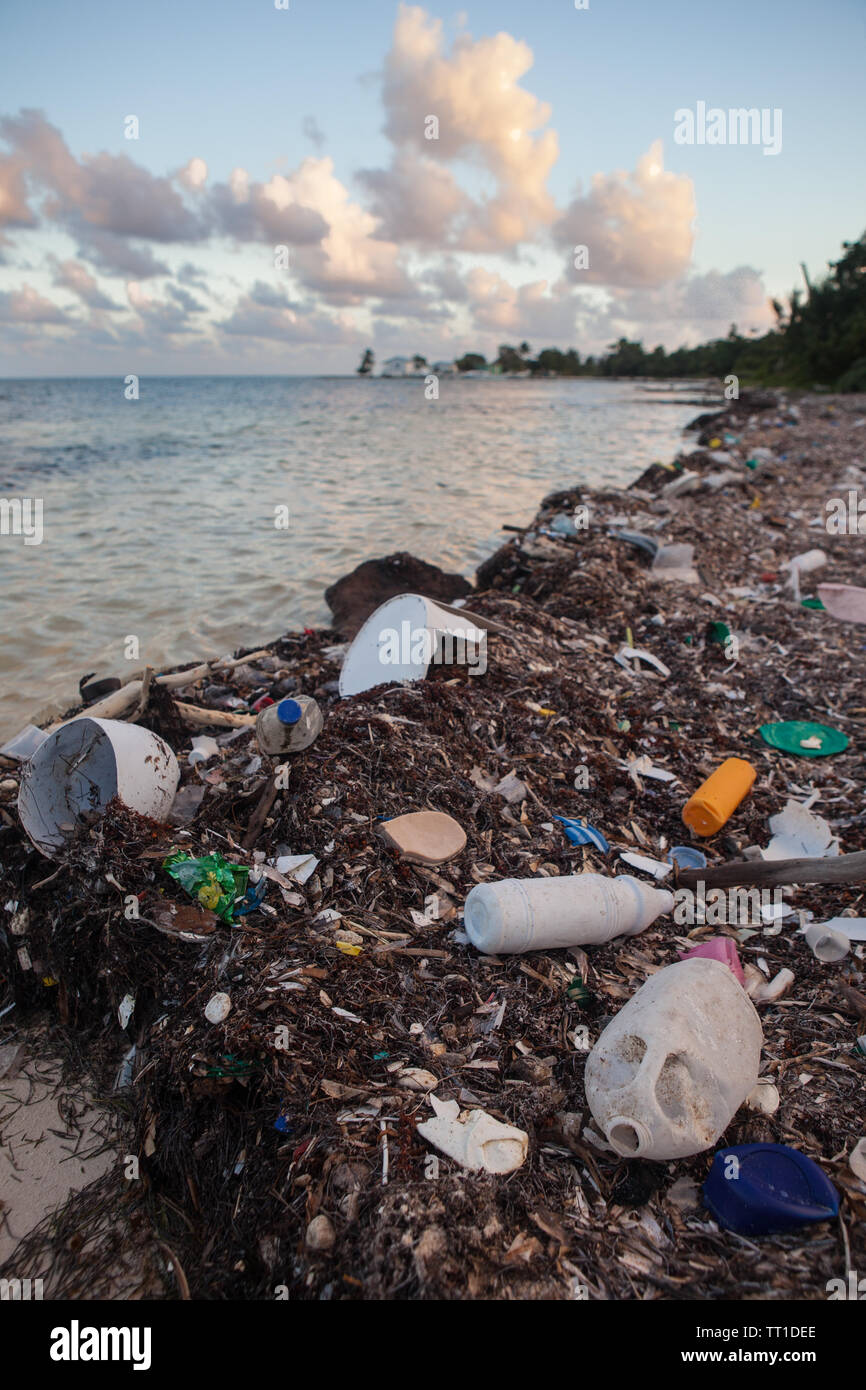 Plastic garbage has washed up on a remote beach in the Caribbean Sea off the coast of Belize. This area is part of the Mesoamerican Barrier Reef. Stock Photo