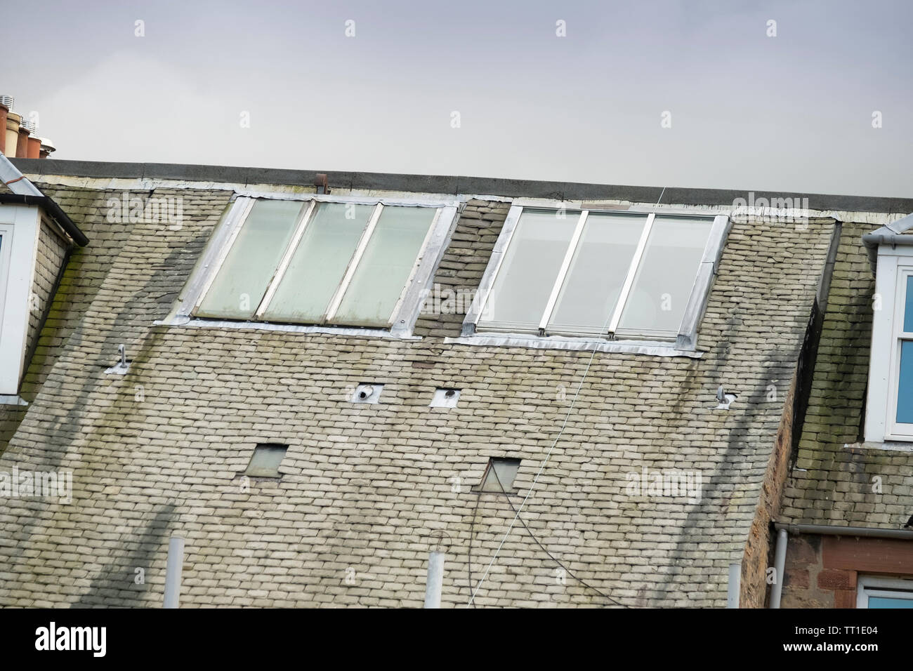 Flat roof windows (rooflights or skylights) on tiled roof in the Victorian suburb of Morningside, Edinburgh, Scotland, UK Stock Photo