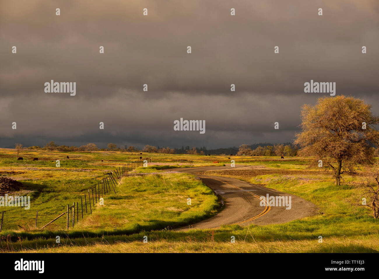 A curvy country road winding through empty ranch land in beautiful ...