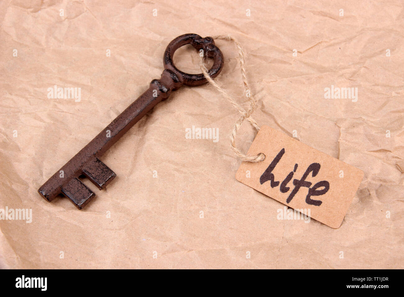 Key to life. Conceptual photo. On color background Stock Photo - Alamy
