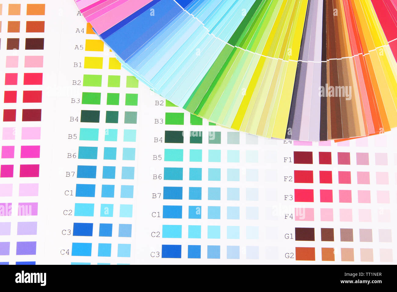Color samples close up Stock Photo - Alamy