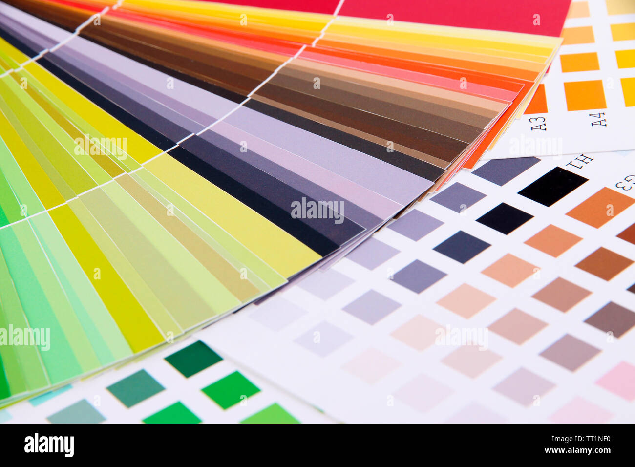 Color samples close up Stock Photo - Alamy