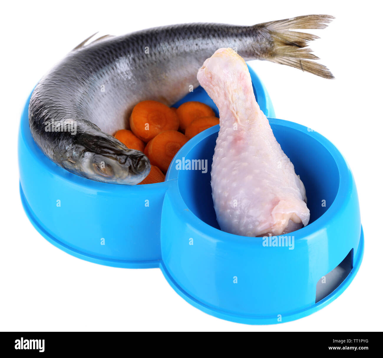 Natural food for pets in plastic bowls isolated on white Stock Photo