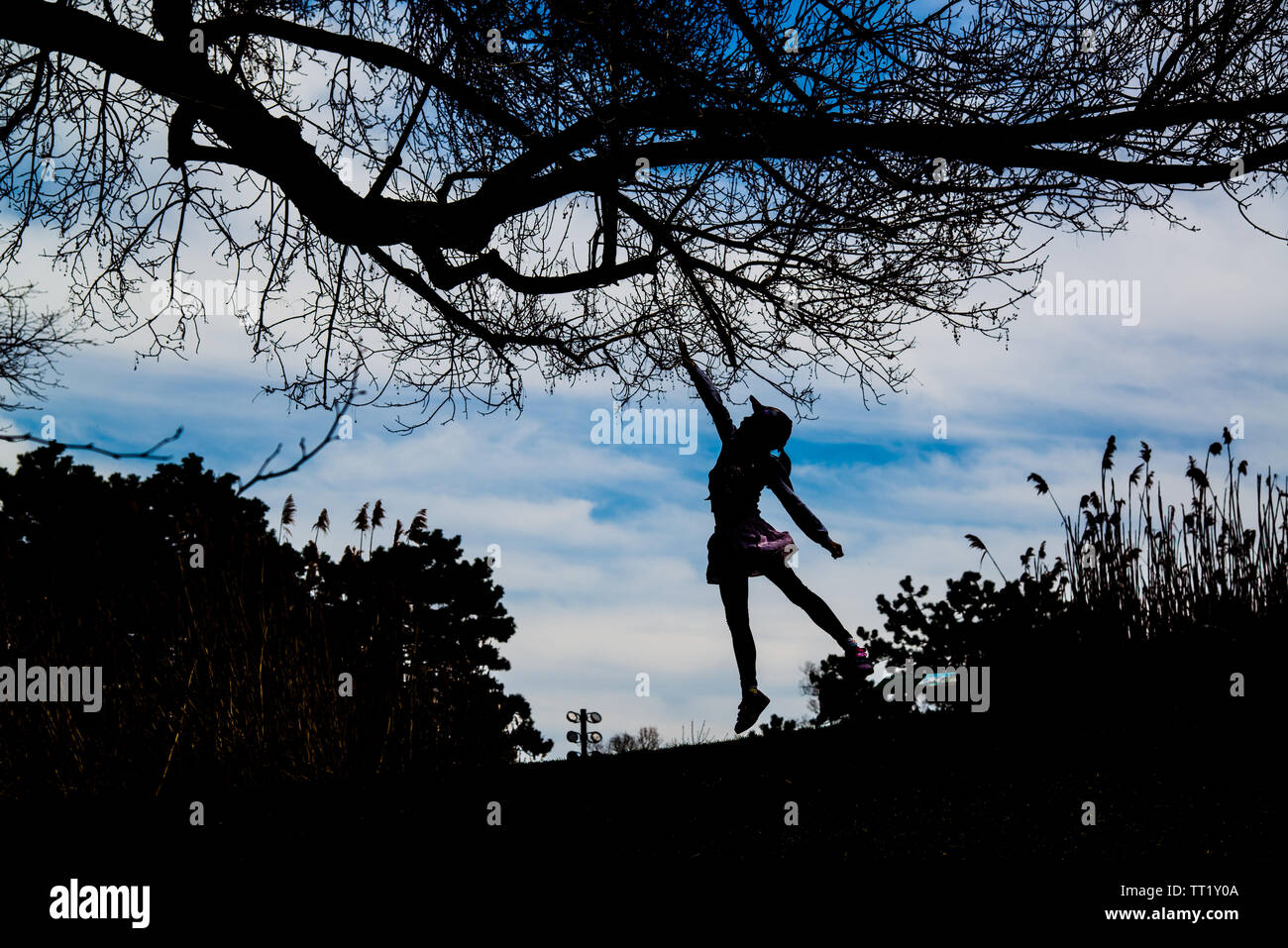 A jumping girl silhouette under the tree Stock Photo