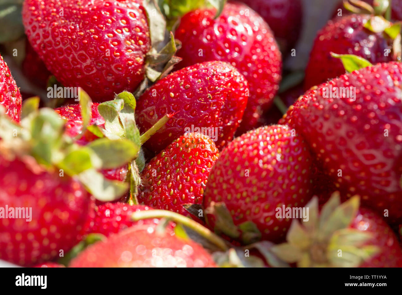 strawberry macro background close up Stock Photo - Alamy