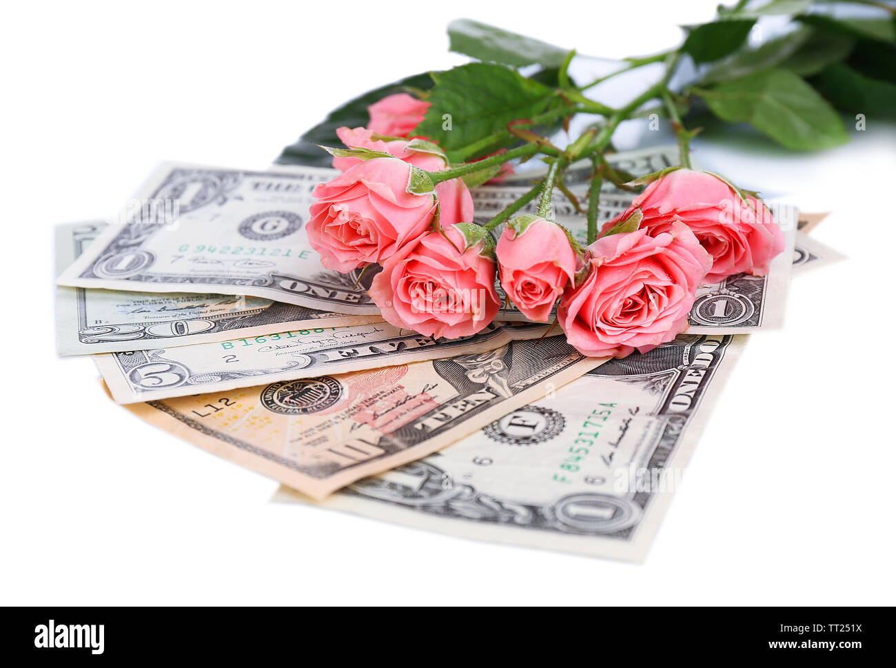 Beautiful roses and money, isolated on white Stock Photo - Alamy