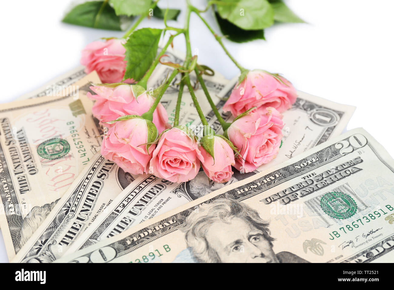 American beauty roses hi-res stock photography and images - Alamy
