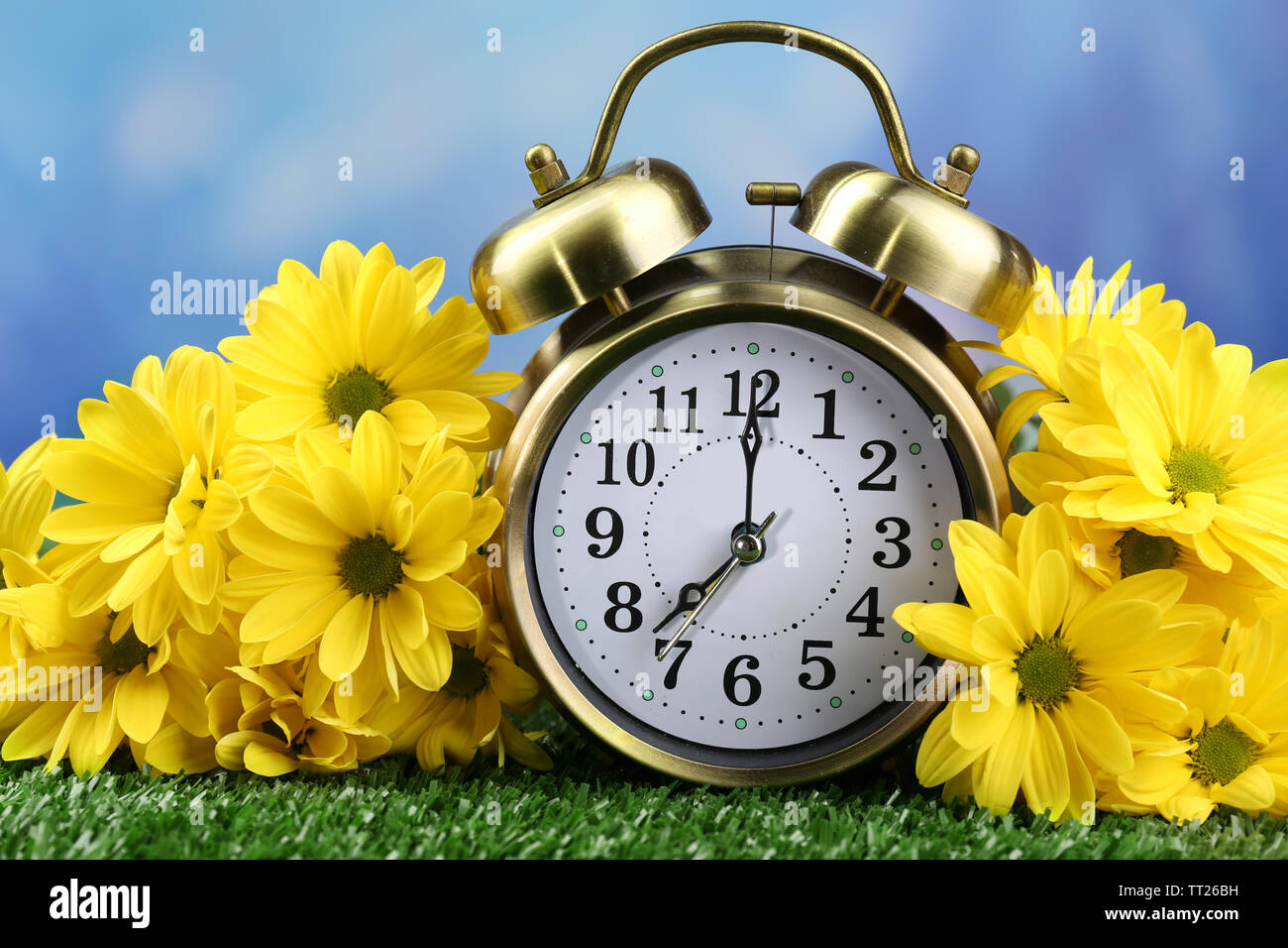 Alarm clock on green grass, on nature background Stock Photo - Alamy