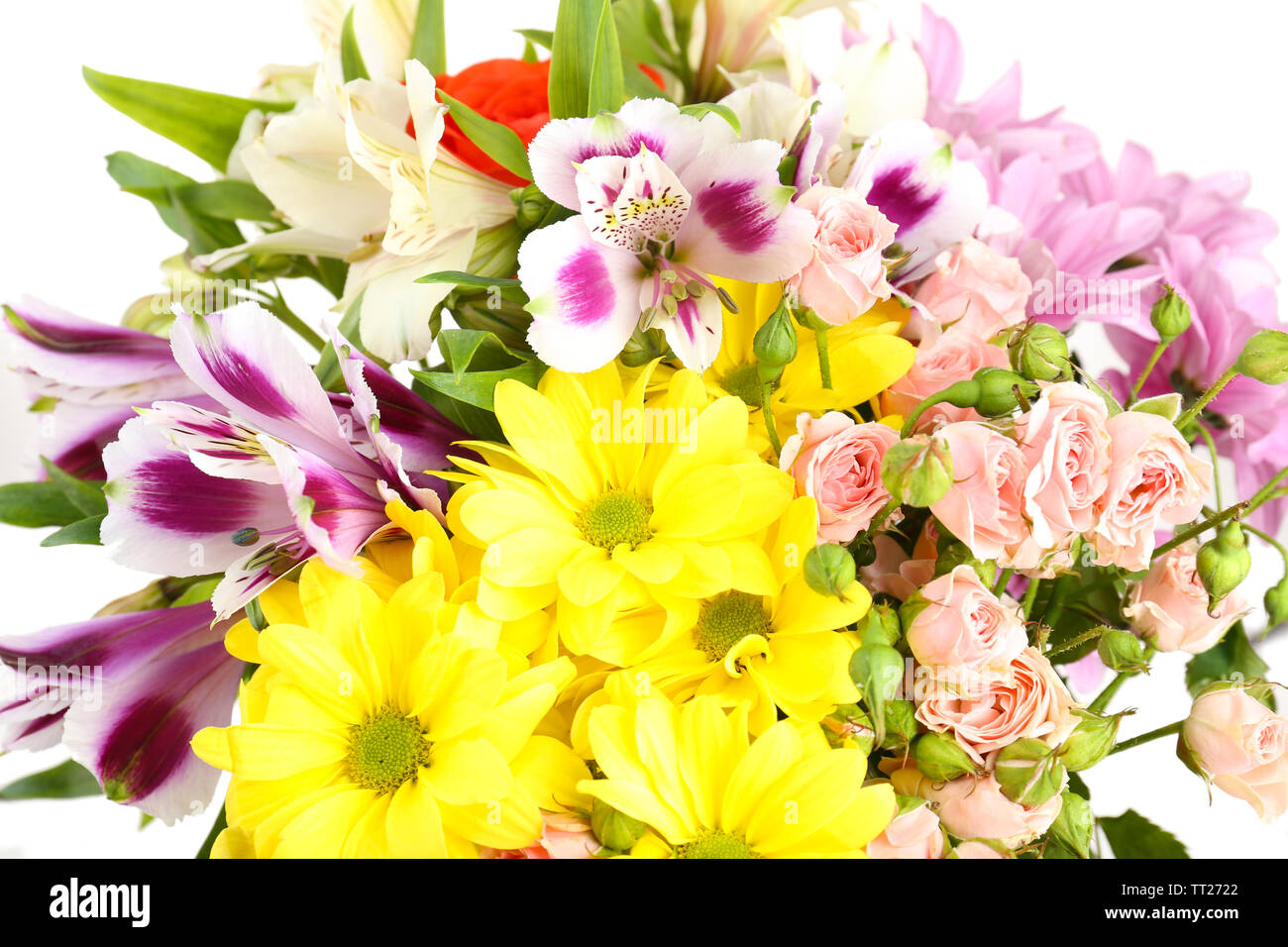 Beautiful flowers close up Stock Photo - Alamy
