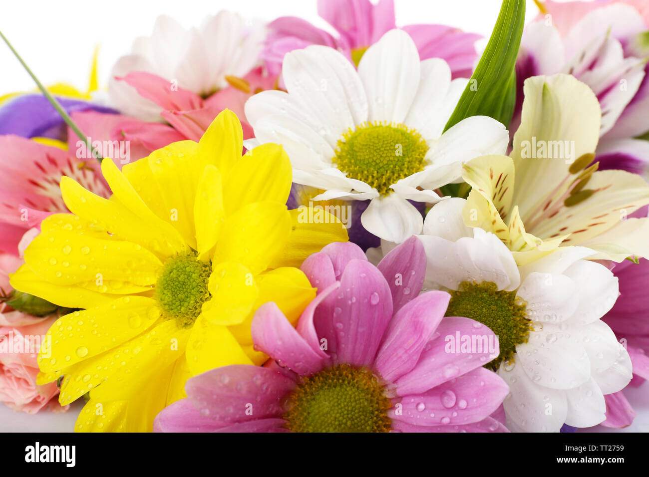 Beautiful flowers close up Stock Photo - Alamy
