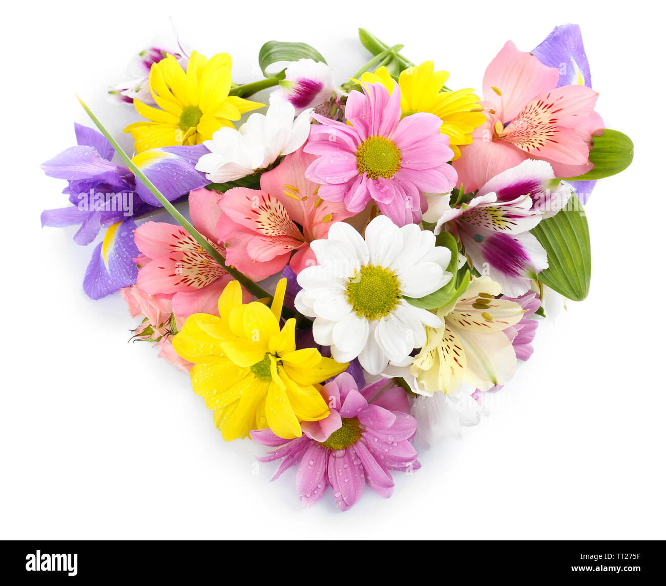 Beautiful flowers isolated on white Stock Photo - Alamy