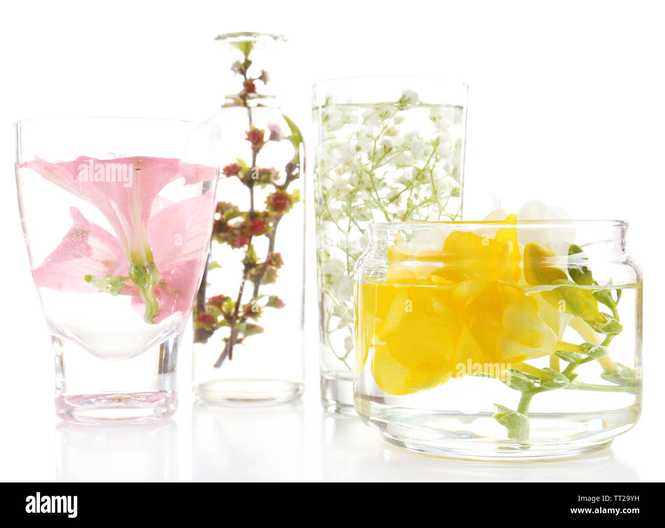 Spring flowers submerged in water isolated on white Stock Photo Alamy