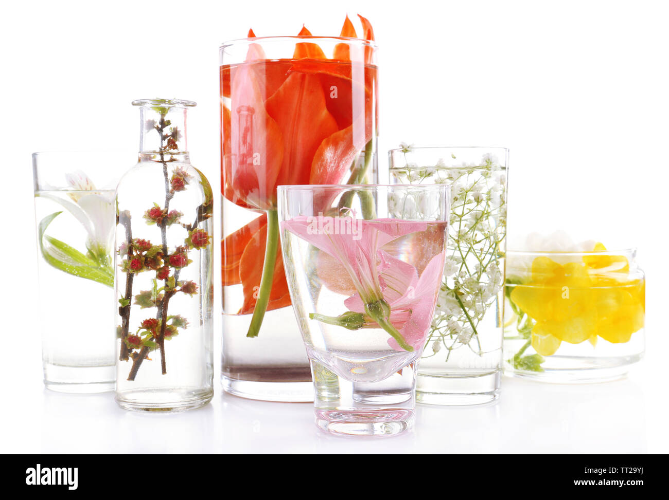 Spring flowers submerged in water isolated on white Stock Photo Alamy