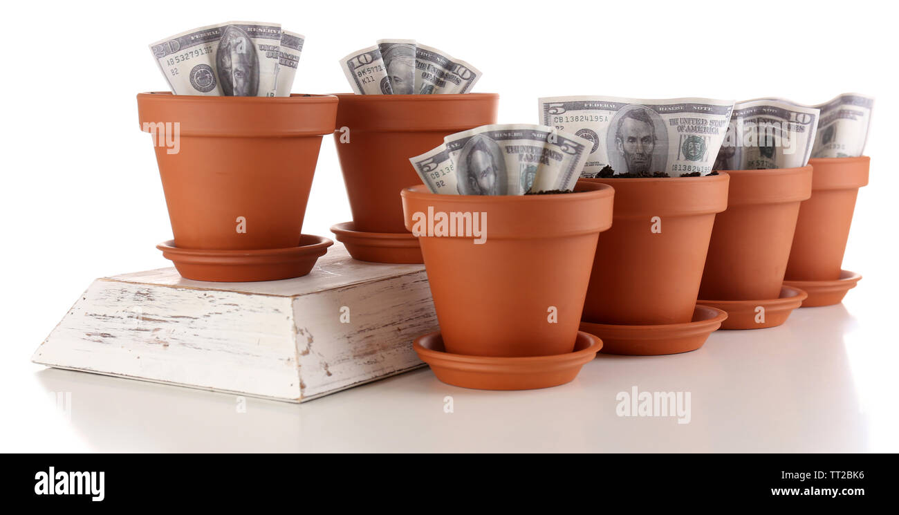 Business concept: growing money in the flowerpots, isolated on white Stock ...