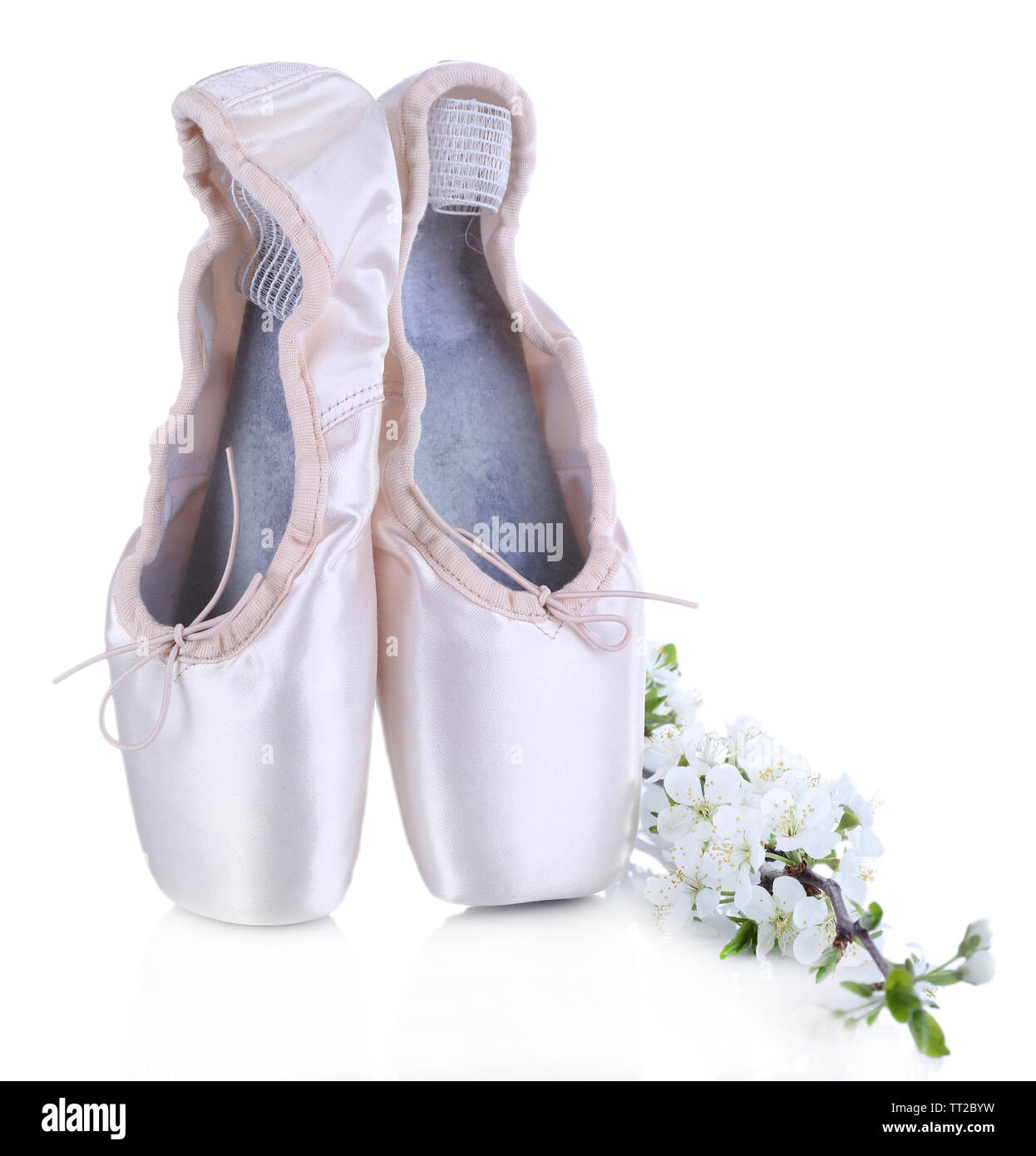 Ballet pointe shoes with blossoming branch isolated on white Stock