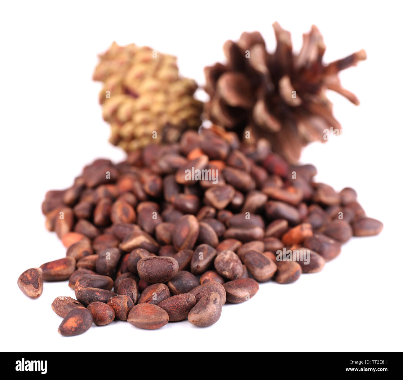 Cedar pine nuts isolated on white Stock Photo Alamy