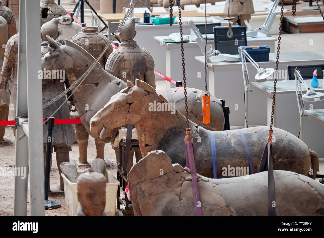 Reconstruction Of Terra Cotta Horses, Xi'an,Shaanxi, China Stock Photo