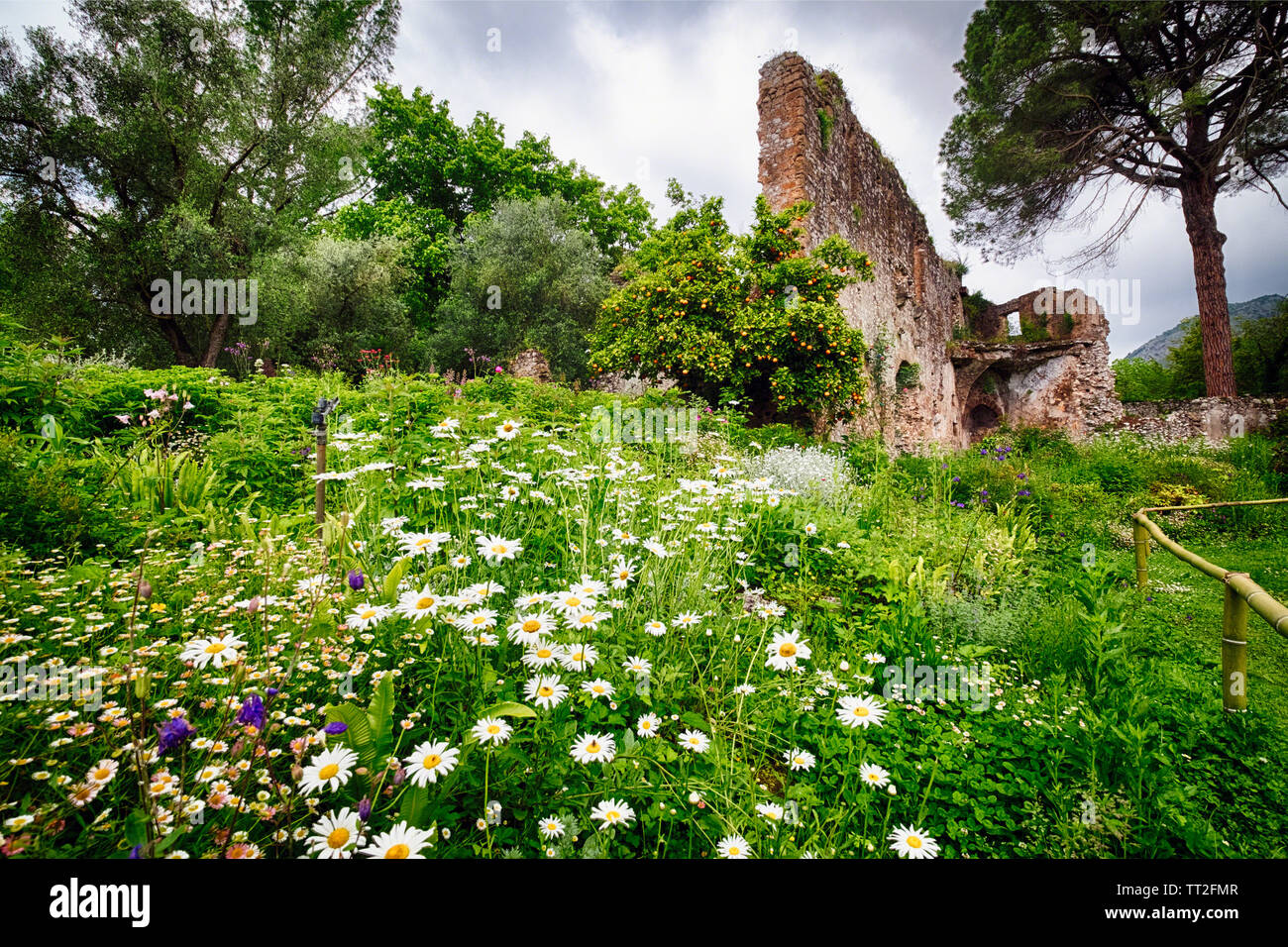 Ruins in a Garden with Flowers and Orange Tree, Garden of Ninfa, Cisterna di Latina, Italy Stock Photo