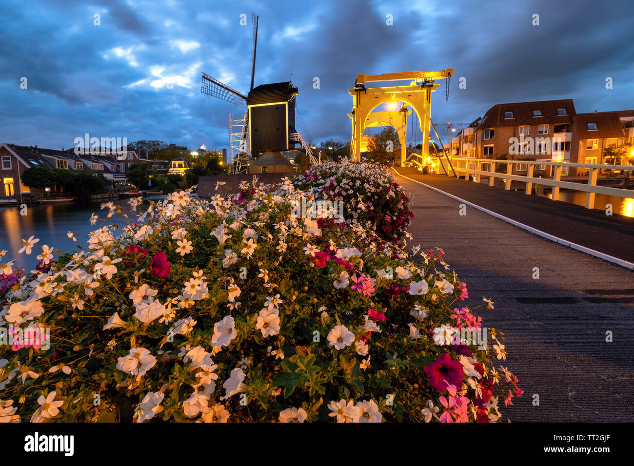 Drawbridge and Windmill at Night with Blooming Flowers, Leiden, South Holland, Netherlands Stock Photo