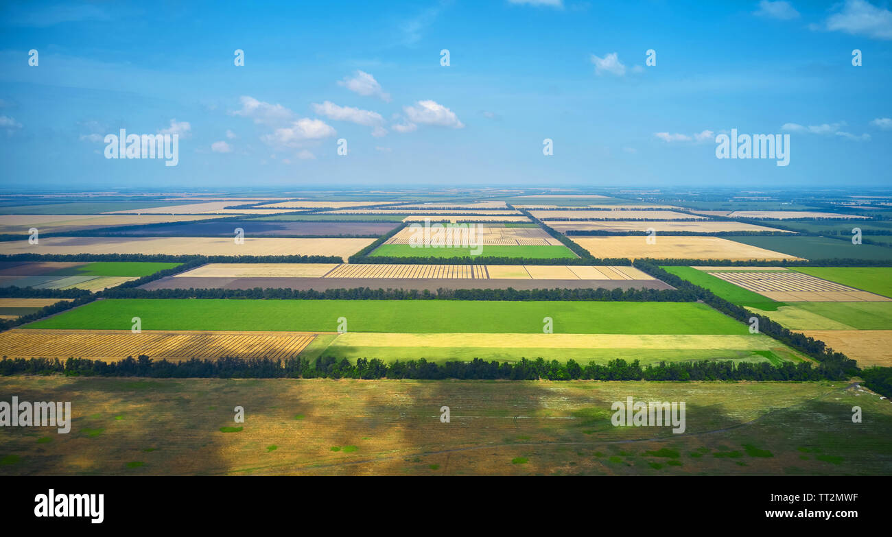 aerial view of the lush summer fields Stock Photo - Alamy