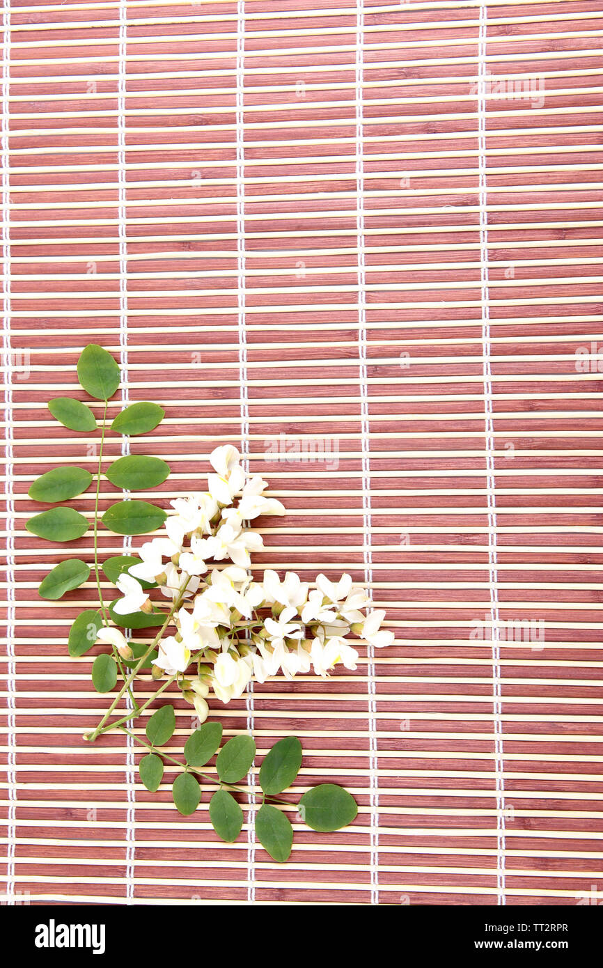 Acacia flowers on bamboo mat background Stock Photo Alamy