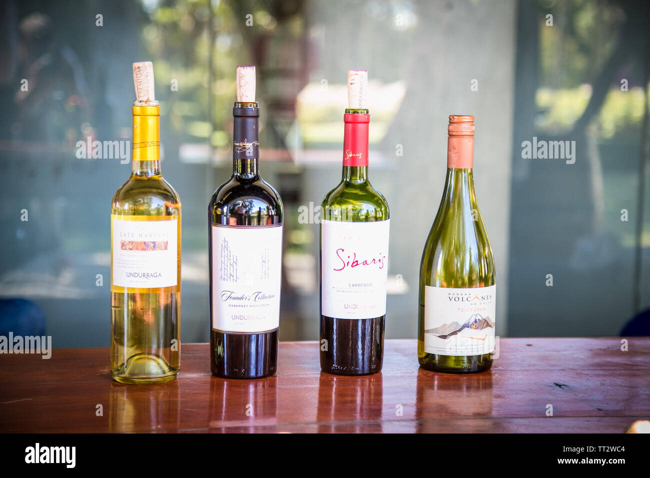 Talagante, Chile - Dec 29, 2018: The bottles of the famous wine in winery Vina Undurraga, Talagante , Chile.  The foundation was established in 1885 b Stock Photo