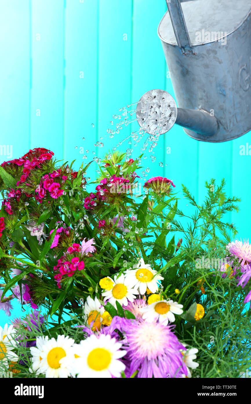 Water Can Watering Flowers On Wooden Background Stock Photo Alamy