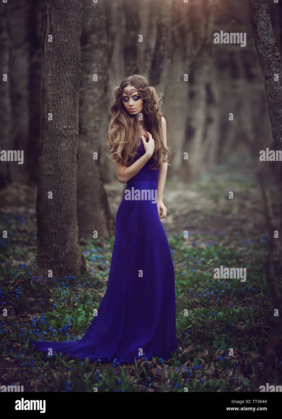 Girl elf with long hair and blue eyes in tiara and a long blue dress ...