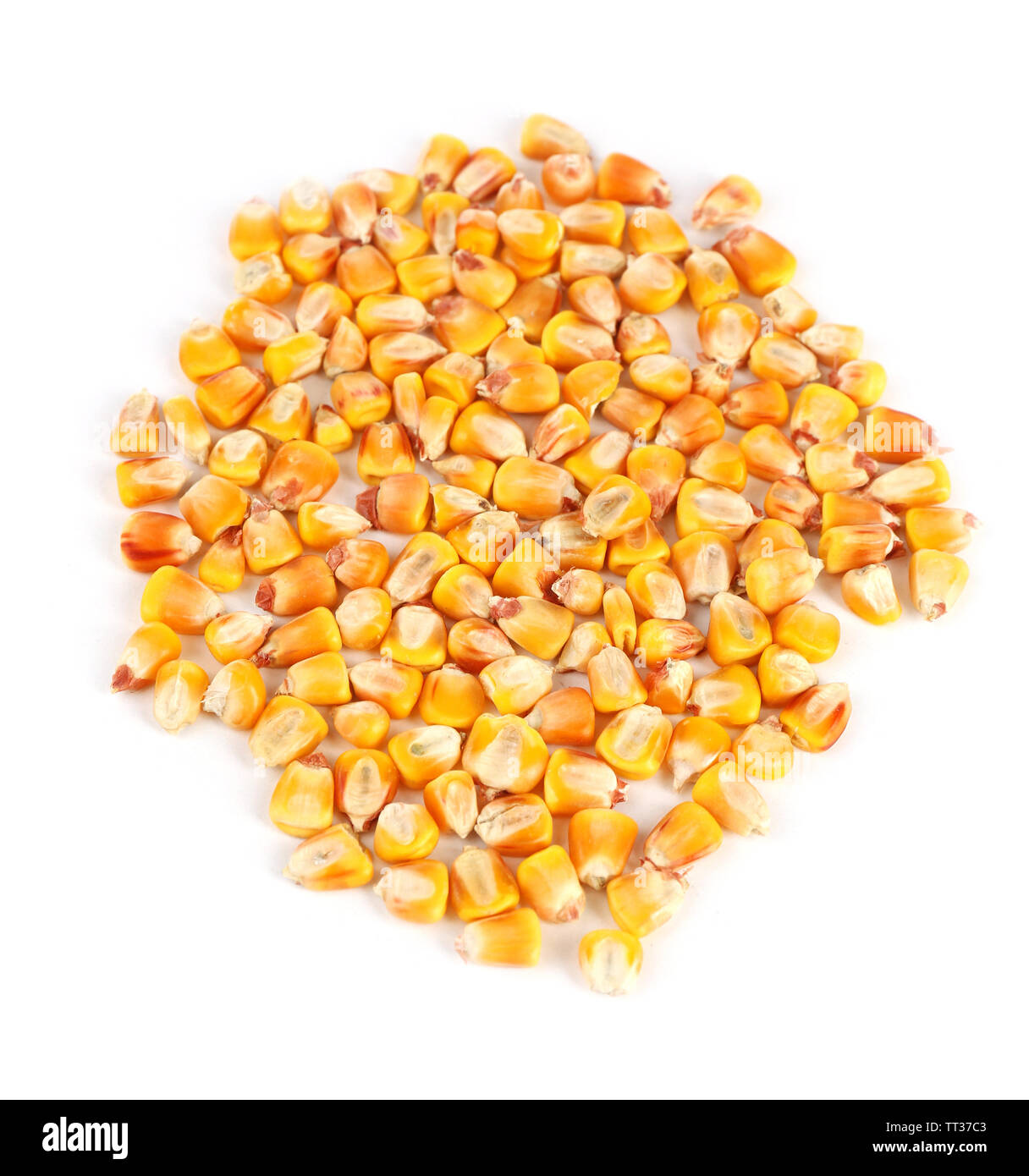Corn seeds isolated on white Stock Photo Alamy