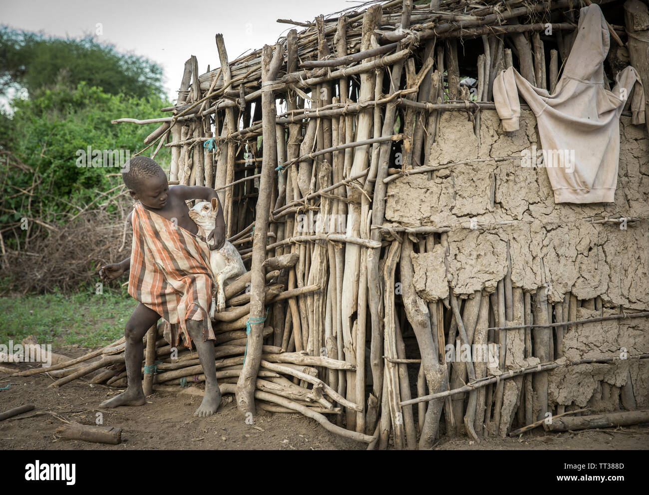 Same, Tanzania, 5th June, 2019:   Maasai  boy keeping baby goats from escaping their house Stock Photo