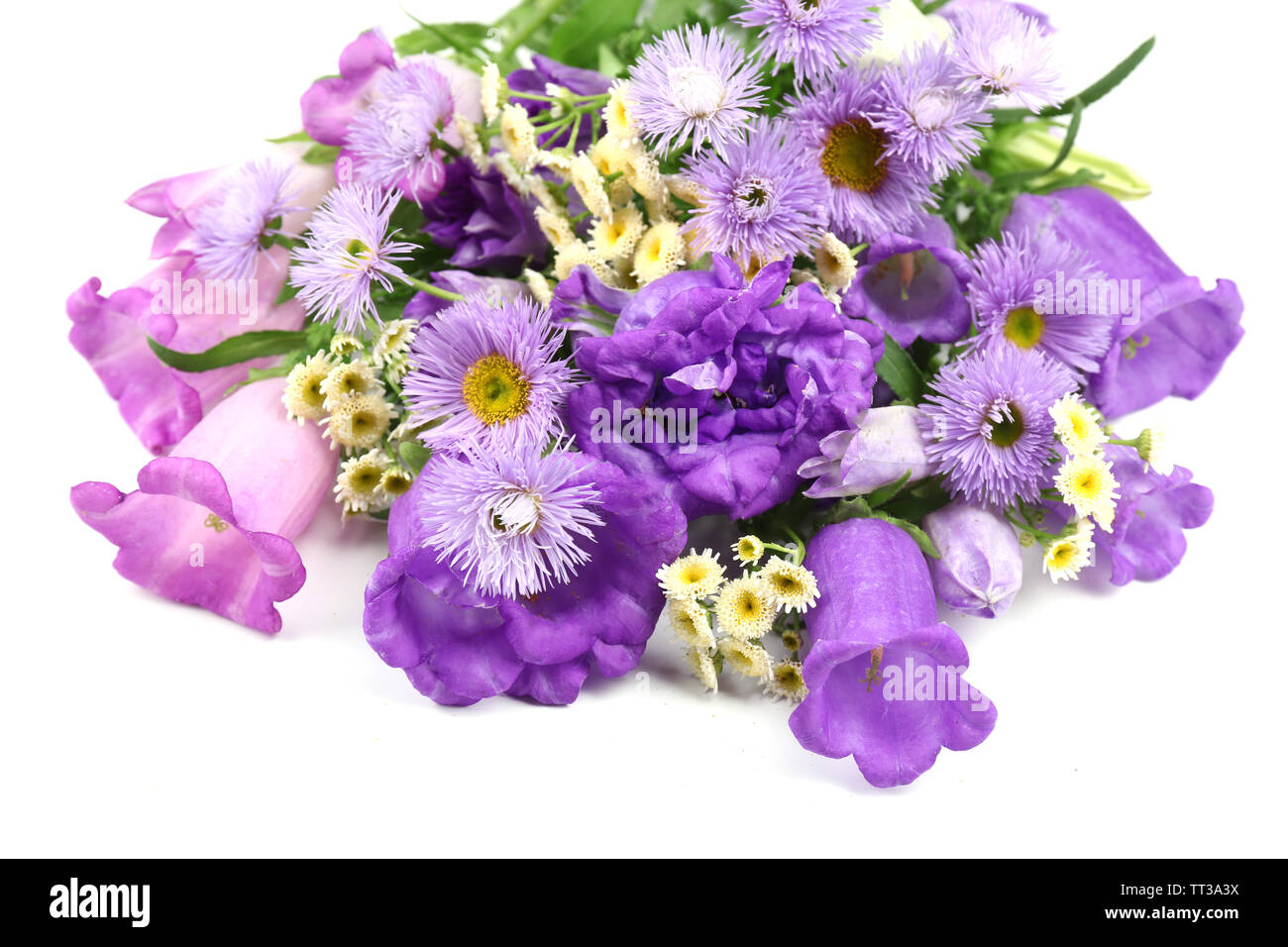 Beautiful wild flowers isolated on white Stock Photo - Alamy
