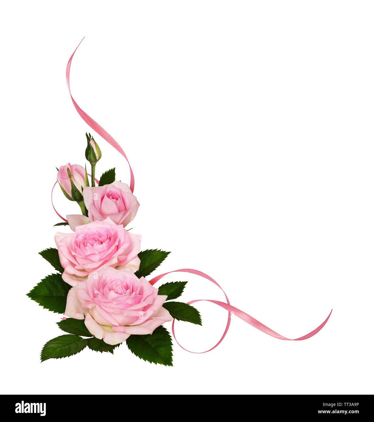 Pink rose flowers with green leaves and satin ribbons in a corner ...