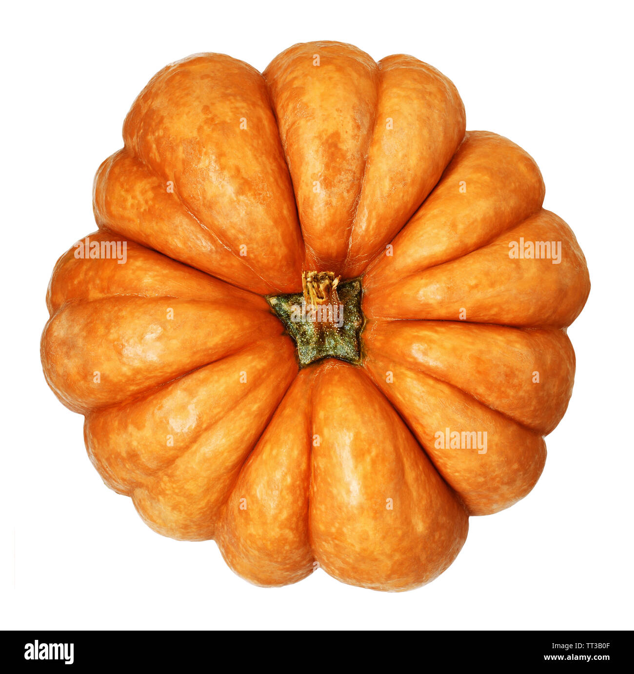 Large round pumpkin isolated on white. Top view. Stock Photo