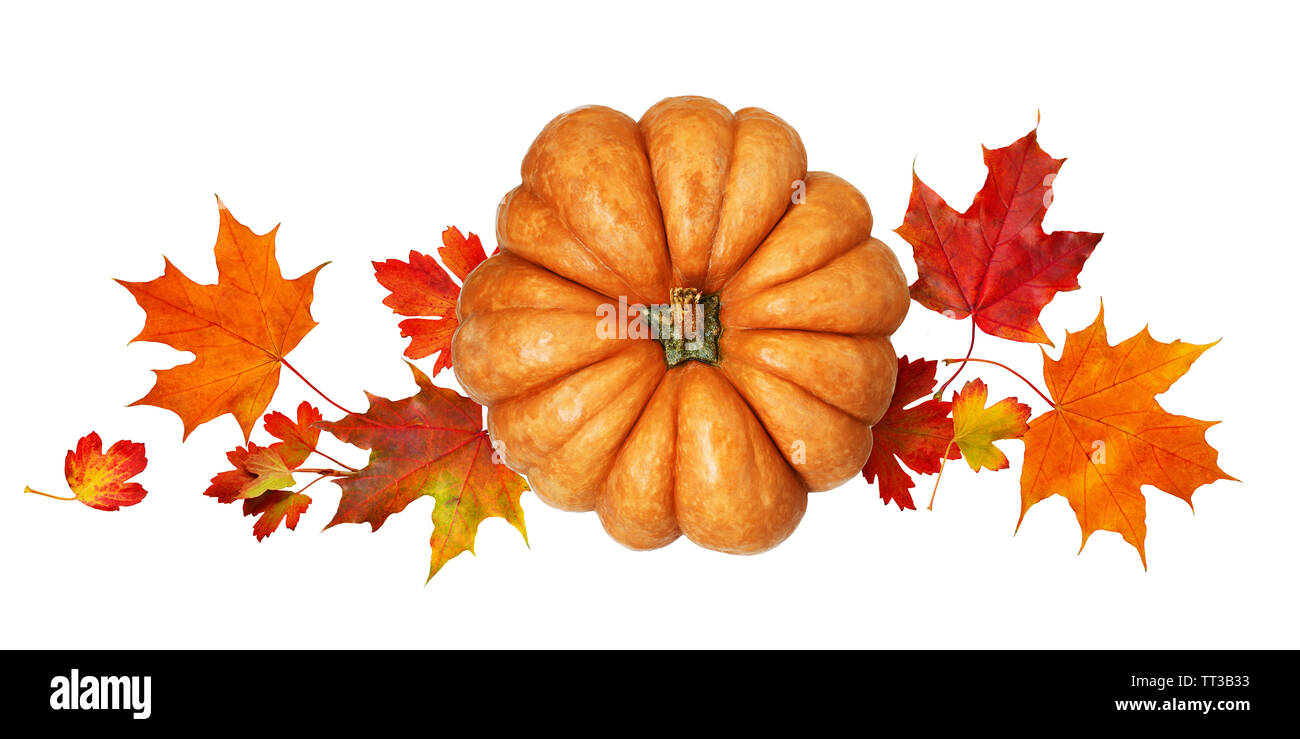 Round pumpkin with autumn colorful leaves isolated on white background. Top view. Flat lay. Stock Photo