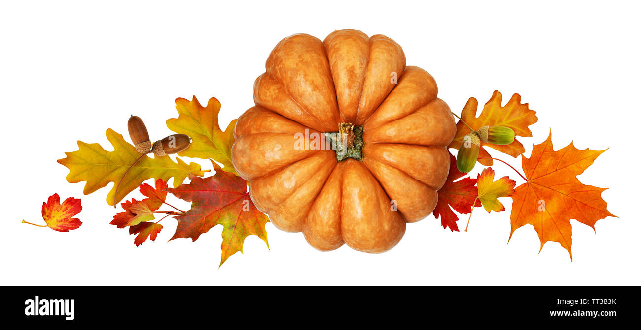Round pumpkin with autumn colorful leaves and acorns isolated on white background. Top view. Flat lay. Stock Photo